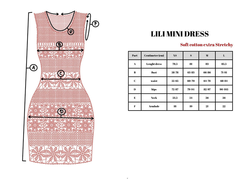 Lili Mini Dress