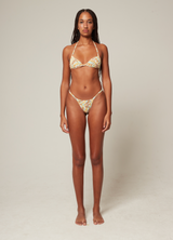 Karang Bikini Coral