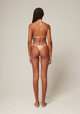 Karang Bikini Coral
